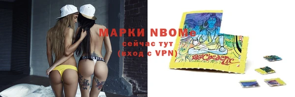 дживик Белокуриха