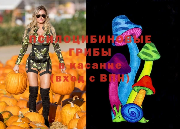 прущие грибы Богородицк