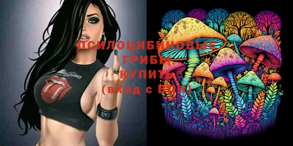 гашик Богородск