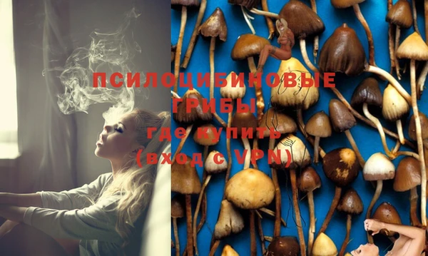первитин Белоозёрский