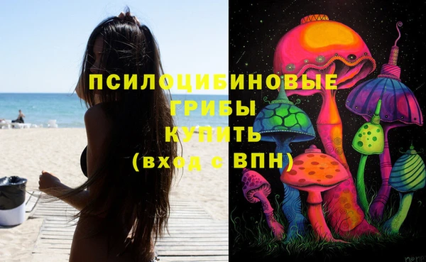 первитин Белоозёрский