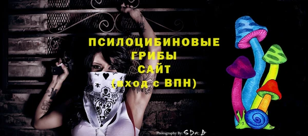 дживик Белокуриха